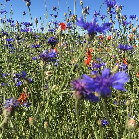 Und Gästezimmer Im Gutshaus Alt-krassow Apartment Lalendorf