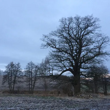 Apartment Und Gästezimmer Im Gutshaus Alt-krassow