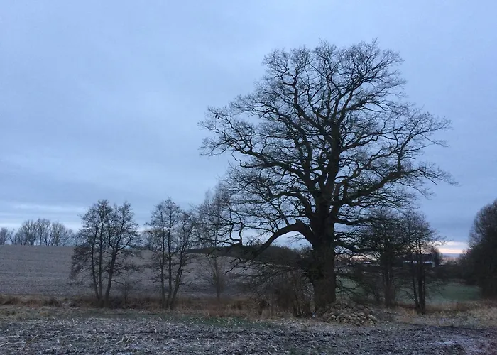Lejlighed Und Gaestezimmer Im Gutshaus Alt-krassow